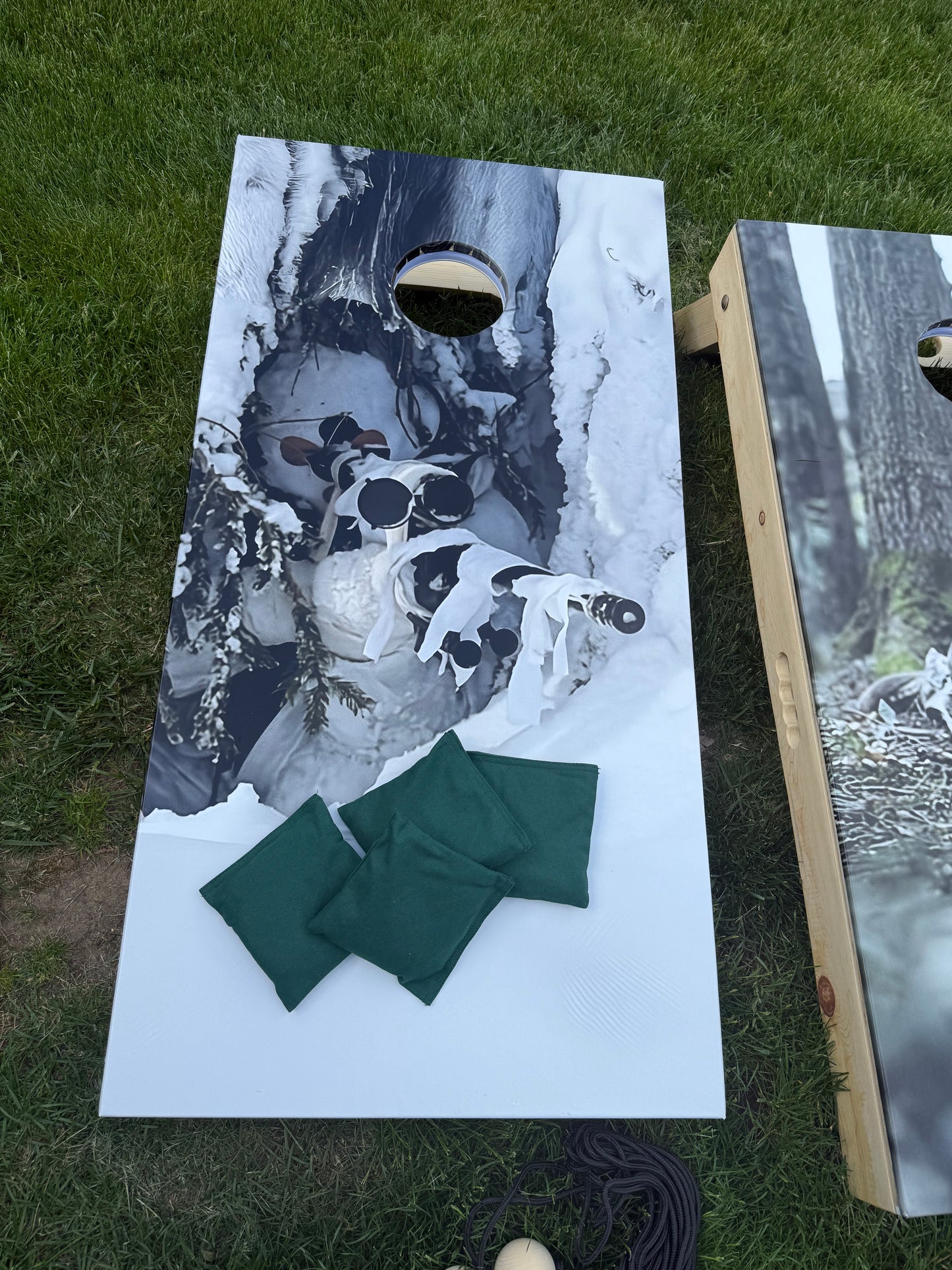 Regulation-Size Sealed Cornhole Set – Built to Last, Designed Your Way